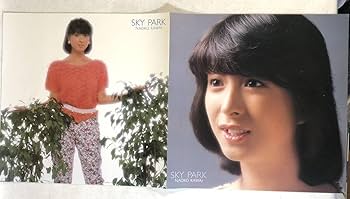 河合奈保子　LP 10枚セット　　レア 河合奈保子 LP 10枚セット レア 河合奈保子 LP 10枚セット レア
